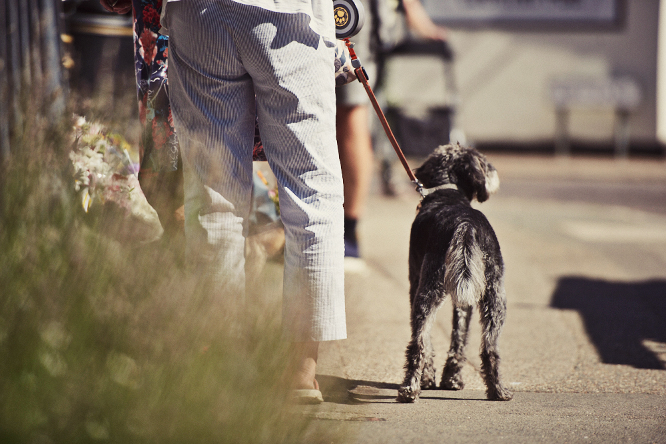 Estate Agents in Havering image