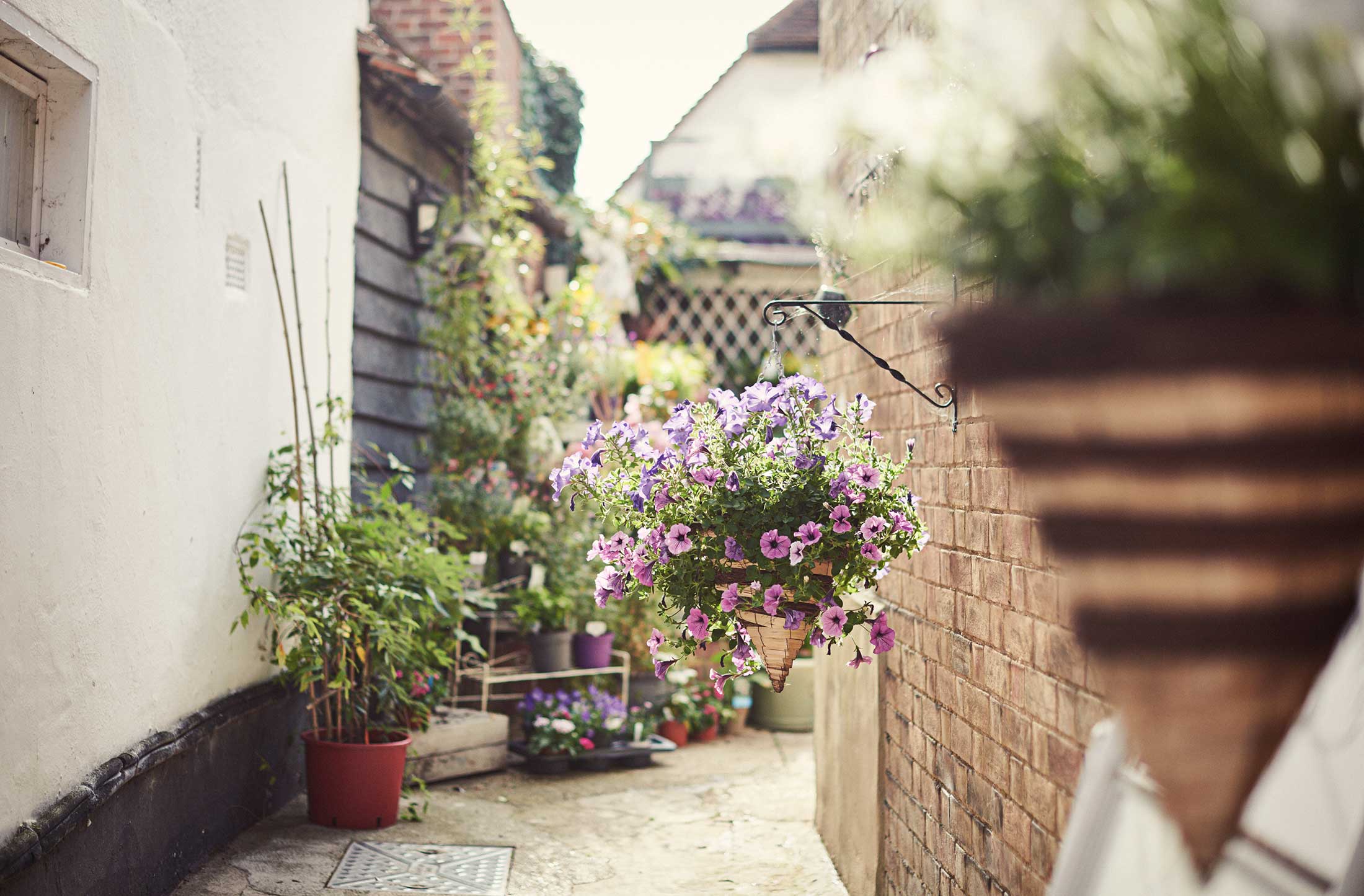 Hanging baskets with flowers - Chelmsford - Beresfords Estate agents - Essex