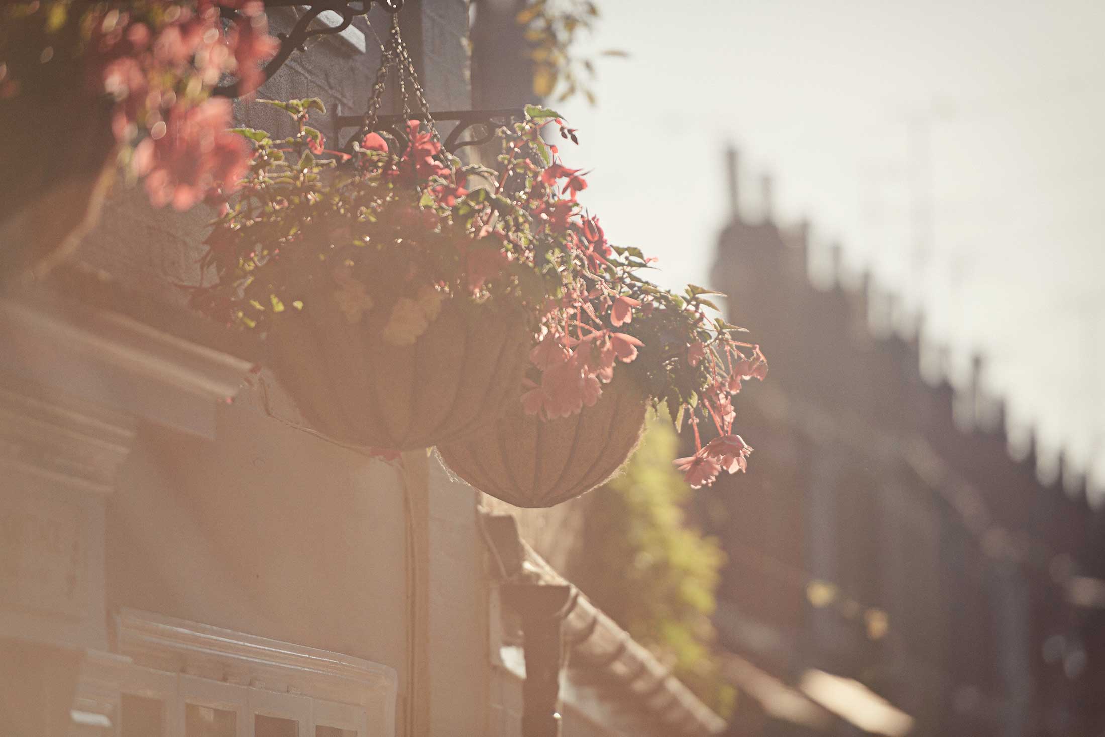 Living in Ingatestone