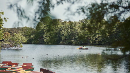 Raphael Park, Gidea Park (45)