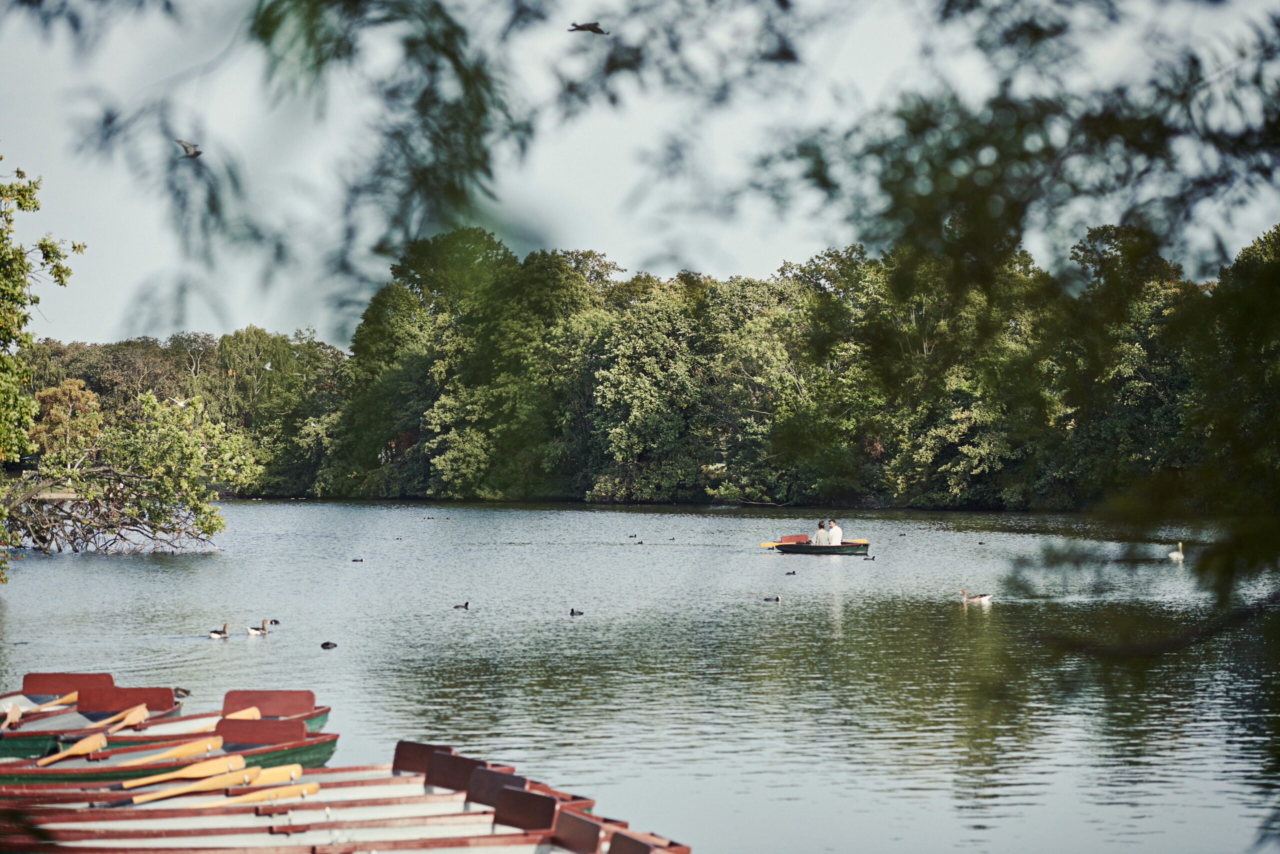 Raphael Park, Gidea Park (45)